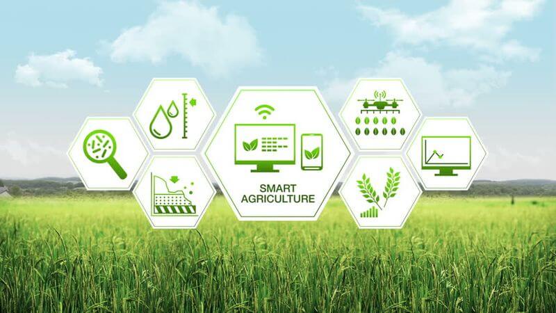 کشاورزی هوشمند در اینترنت اشیا