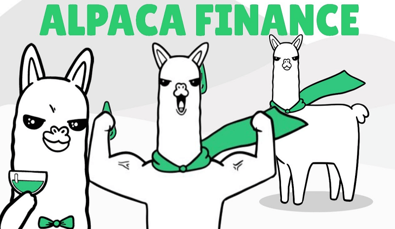 آلپاکا فایننس (Alpaca Finance)