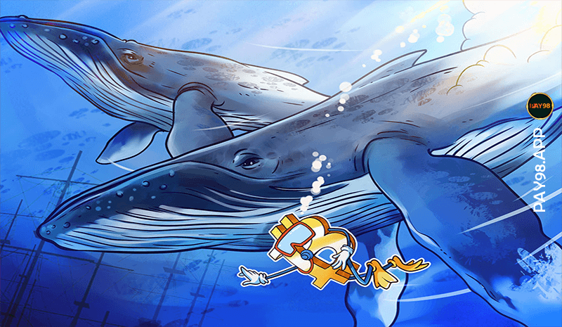 خرید بیت کوین 30 هزار دلاری توسط نهنگ ها | ریزش قیمت BTC تا کجا ادامه دارد؟