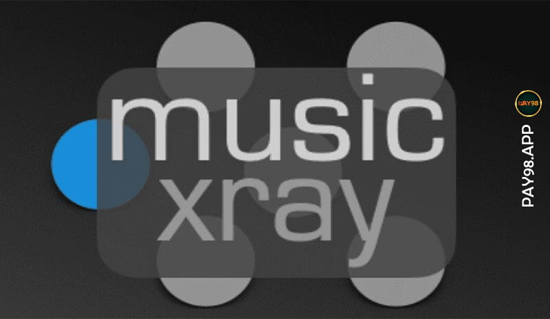 سایت Musicxray چیست؟ معرفی یک راه قانونی برای کسب درآمد دلاری